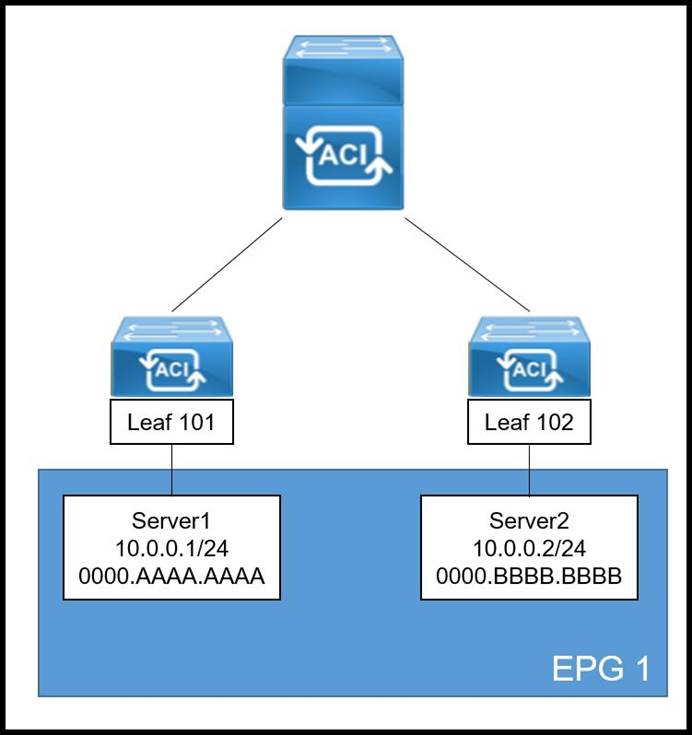 Latest 300-620 Dumps Ebook